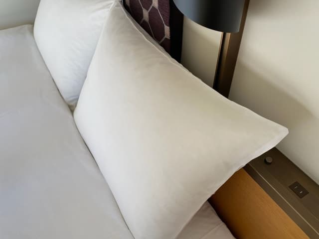 Japanese Style Room (Moderate Double) · photo 6