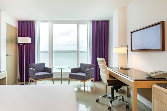 Room, 1 King Bed, Accessible (Roll-in Shower) · foto 6