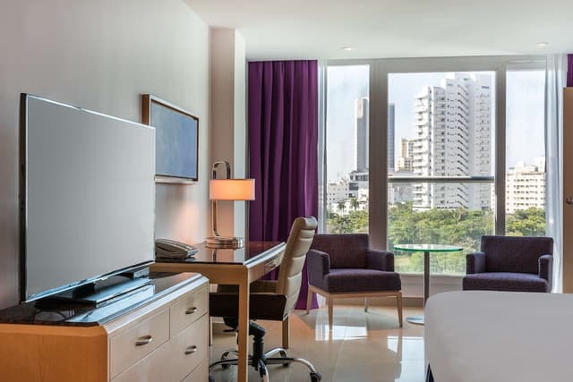 Room, 1 King Bed, Accessible, City View (Roll-In Shower) · foto 5