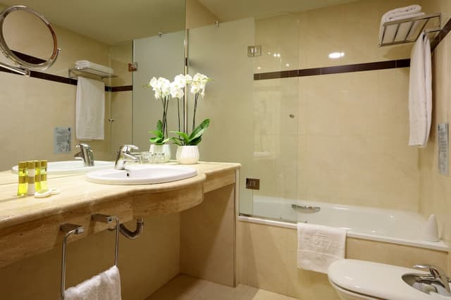 Deluxe Double Room · photo 2