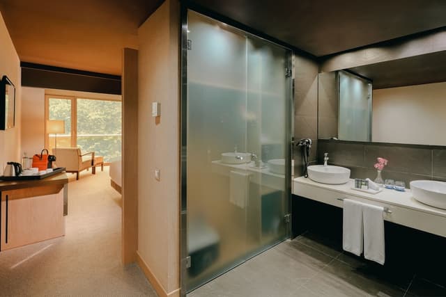 Superior Room · photo 4