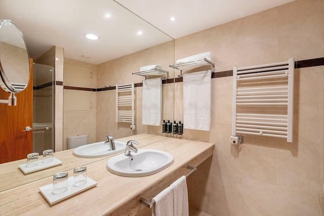 Deluxe Double Room Single Use · photo 4