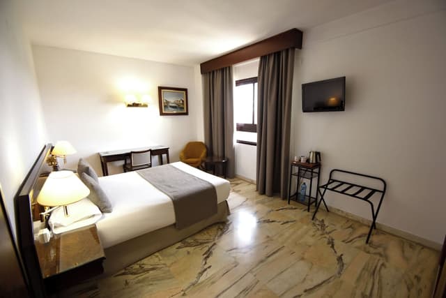 Double Room, 1 King Bed · foto 6