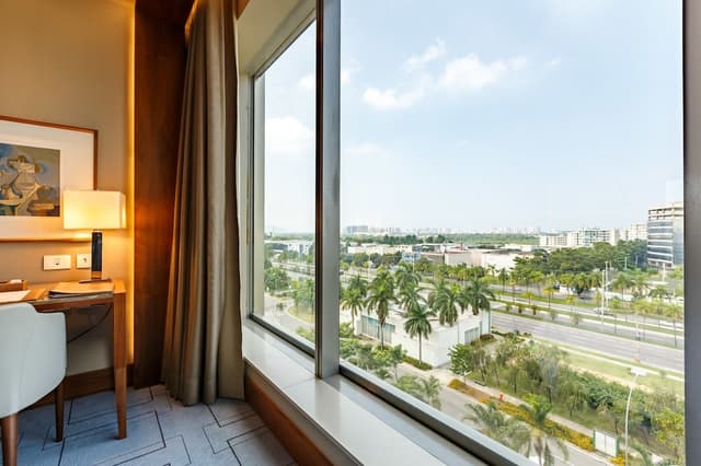 Deluxe Room, 1 King Bed, Lagoon View · photo 5