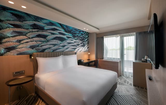 Deluxe Room, 1 Queen Bed, Balcony · photo 4