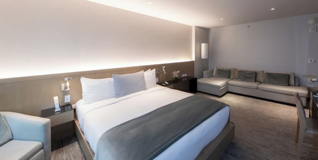 Junior Studio Suite, 1 King Bed · foto 3