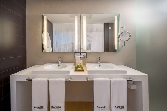 Deluxe Double Room · photo 7