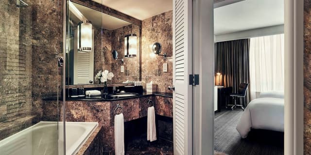 Deluxe King or Twin room · photo 2
