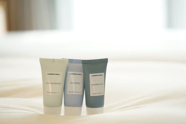Deluxe Room, City View · foto 4
