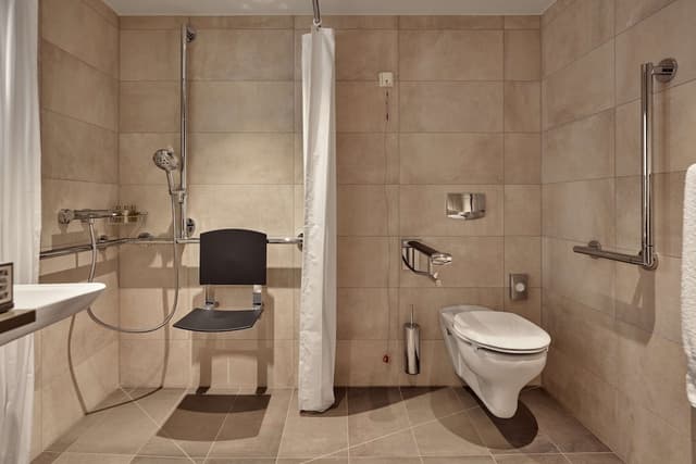 Room, 1 King Bed, Accessible (Roll-In Shower) · foto 3