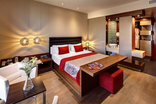Standard Double Room Single Use · foto 4