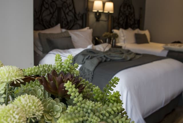 Family Room, 2 Double Beds · photo 2