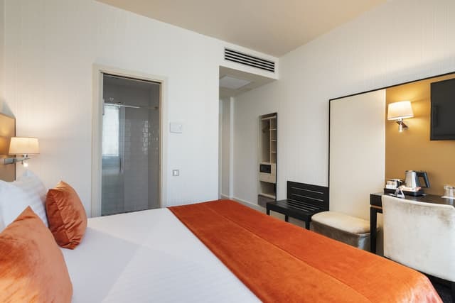 Standard Double or Twin Room (Single Use) · foto 2
