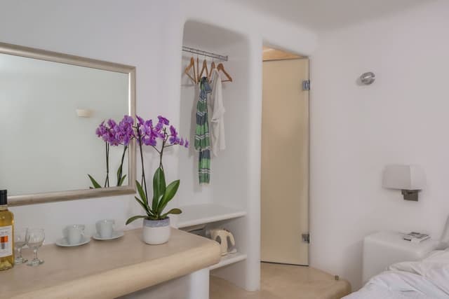 Standard Room ( Caldera View) · photo 7