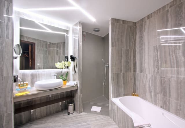 Deluxe Room · foto 4
