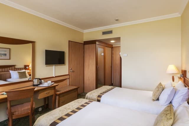 Superior Twin Room, River View · photo 2