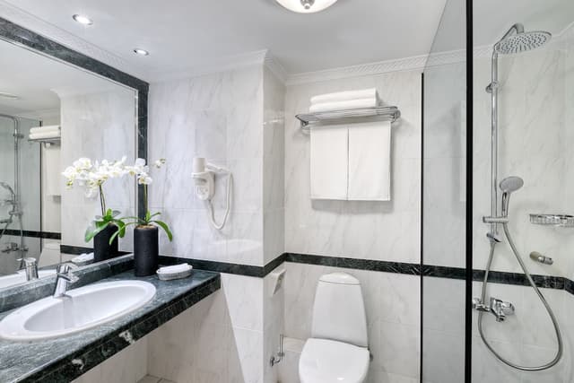 Executive Room · photo 5