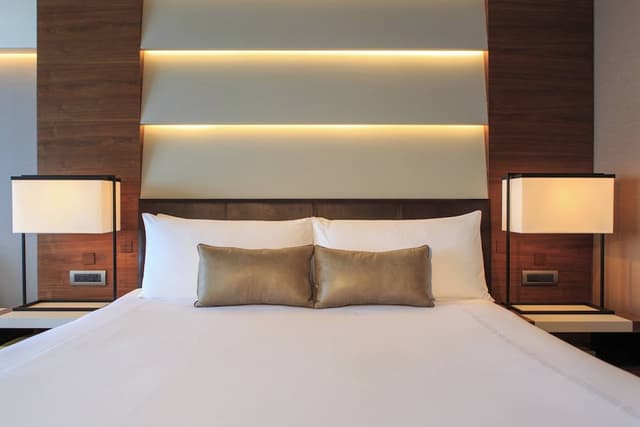 Premium Room, 1 King Bed · foto 8