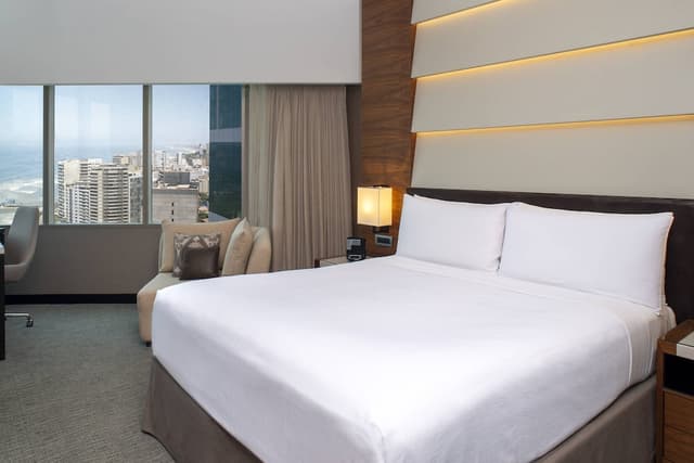 Premium Room, 1 King Bed · foto 2