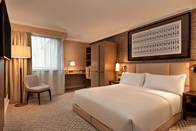 Room, 1 King Bed, Accessible (Roll-In Shower) · foto 4