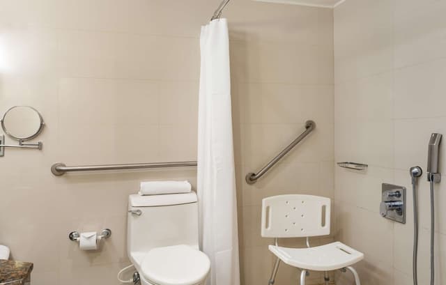 Room, 1 King Bed, Accessible, City View (Roll-In Shower) · foto 7
