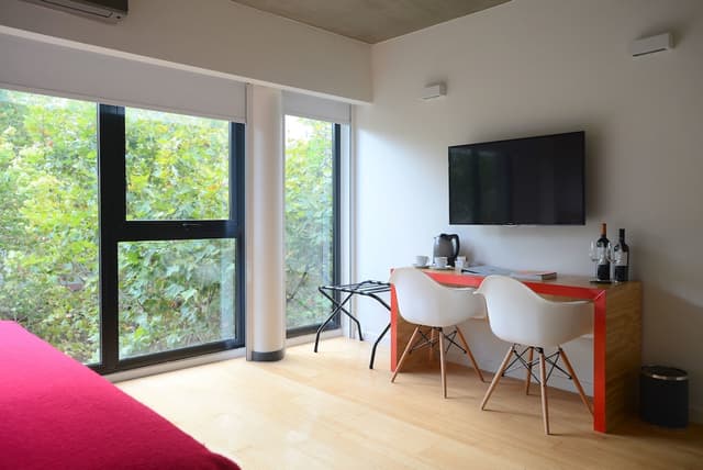 Deluxe Room · foto 7