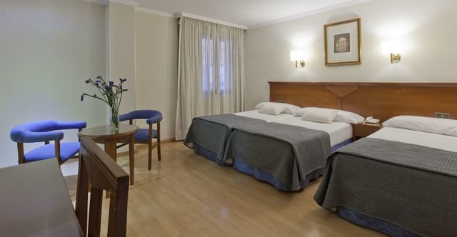Triple Room, 3 Twin Beds · foto 1