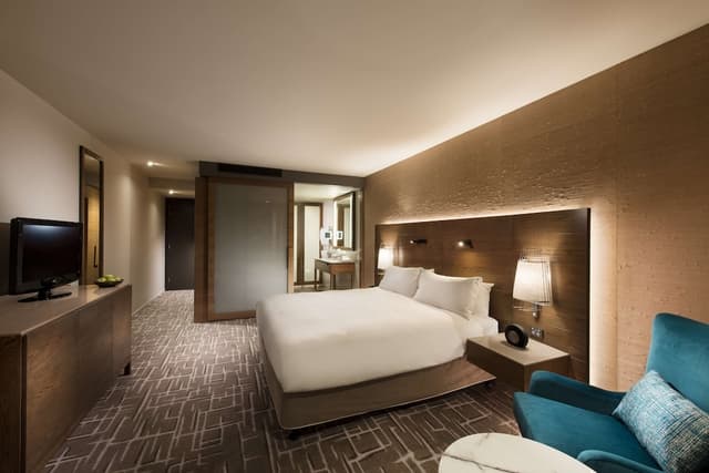 Premier King Room with City View · foto 5