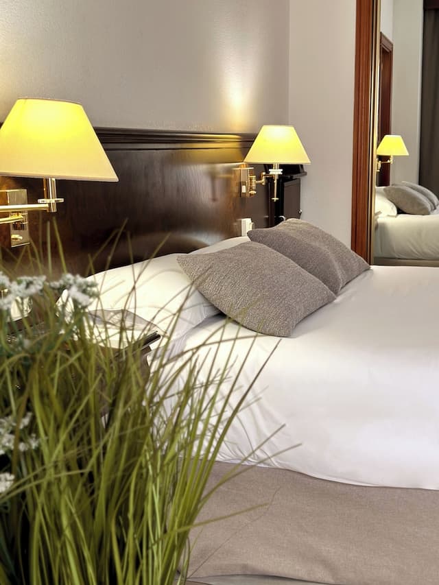 Double Room, 1 King Bed · foto 1