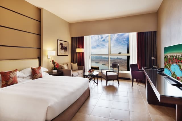 Room, 1 King Bed (Guest) · photo 4