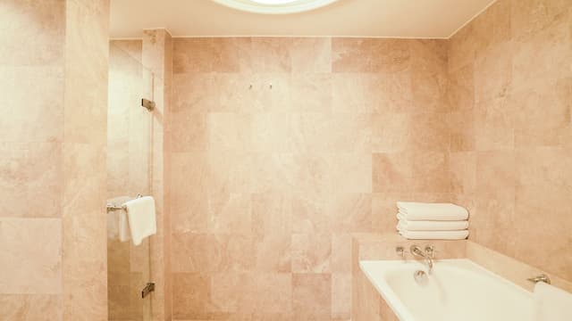Grand Suite, 1 King Bed · foto 7