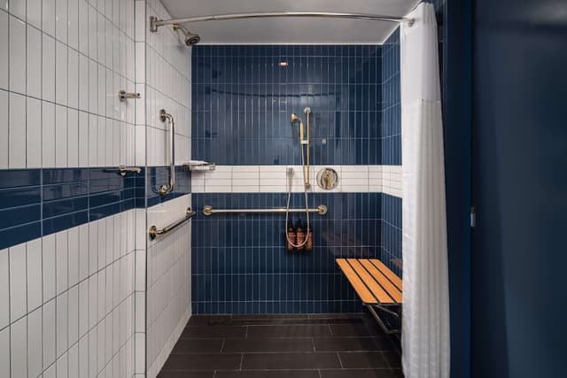 Room, 1 King Bed, Accessible, City View (Mobility, Roll-In Shower) · photo 4