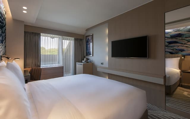 Deluxe Room, 1 Queen Bed, Balcony · photo 2
