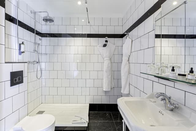 Executive Room, 1 King Bed, Accessible, Non Smoking (Twin bed on request) · photo 3