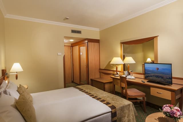 Superior Double Room, River View · photo 2