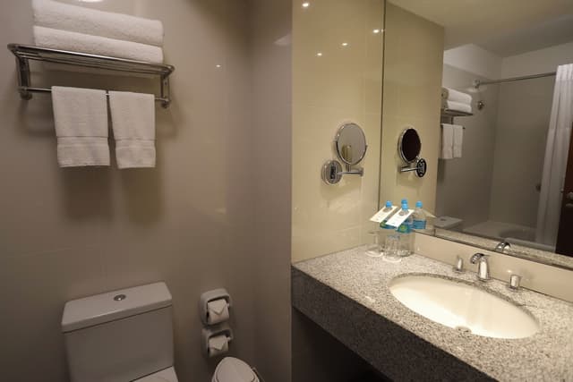 Superior Room, 1 Queen Bed · foto 3