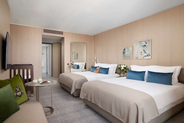 Deluxe Double Room · photo 1