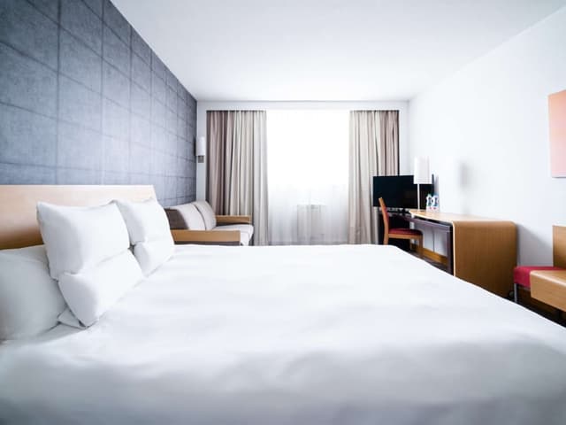 Superior Room, 1 Queen Bed with Sofa bed (Novation) · foto 5