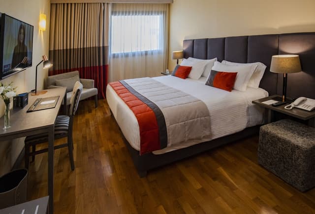Comfort Double Room, 1 King Bed · foto 2