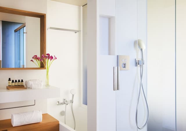 Standard Room (SPA access) · photo 3