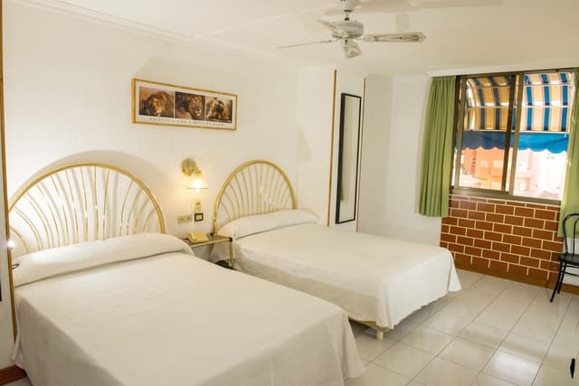 Basic Triple Room · photo 1