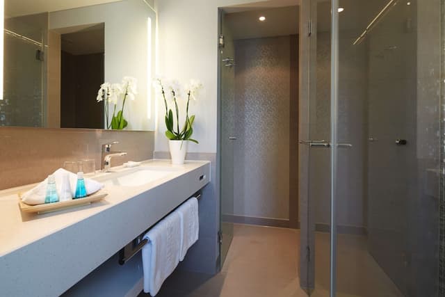 Deluxe Room · foto 5