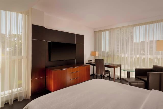Premium Room, 1 Queen Bed · photo 3