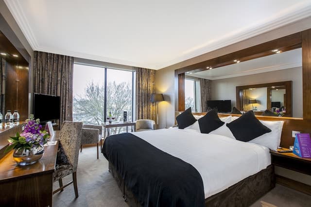 Superior Room, 1 King Bed · photo 1