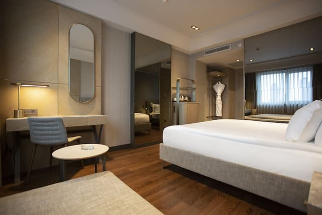 Deluxe Double Room · photo 3