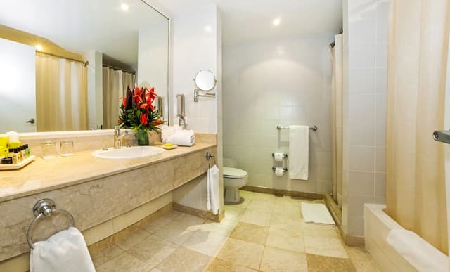 Junior Studio Suite, 1 King Bed, Ocean View · foto 3