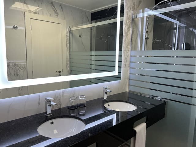 Executive Double or Twin Room · photo 6