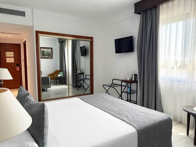 Double Room, 1 King Bed · foto 7