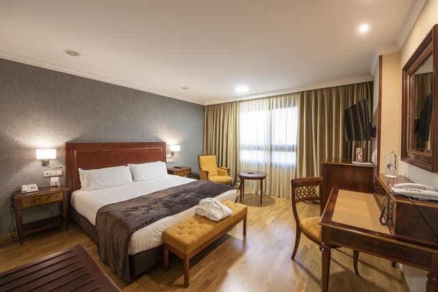 Double Room Single Use, 1 King Bed · photo 1