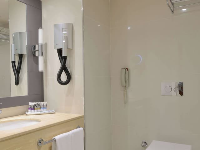 Deluxe Room, 1 Twin Bed · foto 7